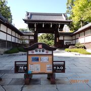 約2万平方メートルの広い敷地に池泉回遊式の日本庭園