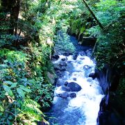 大自然が創り上げるパワーを愉しむ！　～　霧島神水峡