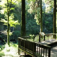 ウッドデッキの展望台