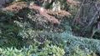 たまたま無料でした