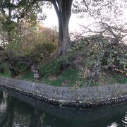 一見、普通の公園