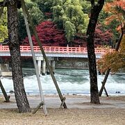 流れはゆったり、そして速い所も