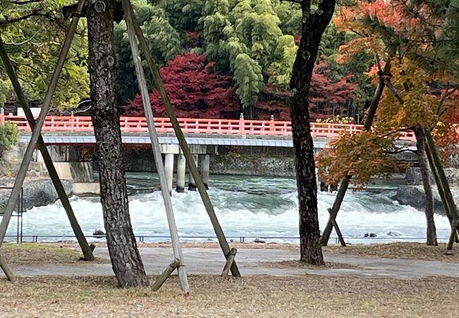 流れはゆったり、そして速い所も