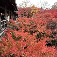 通天橋(東福寺)