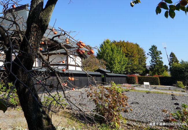 満徳寺遺跡