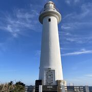 美しい海と花のコントラスト