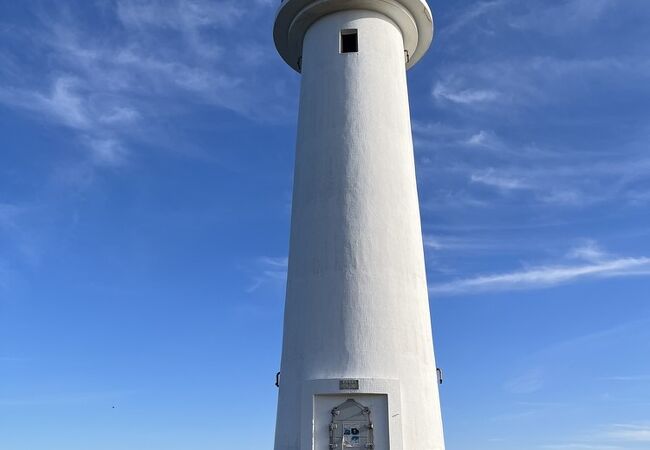 美しい海と花のコントラスト