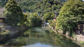 京都観光には欠かせない