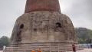 柵がないので触れることもできる