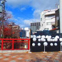 水門川遊歩道 四季の路