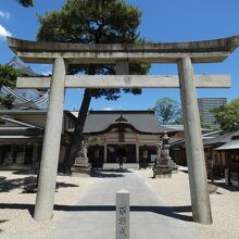 龍城神社と岡崎城天守閣