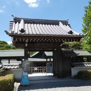 岡崎城二の丸跡に建つ本格的能楽堂