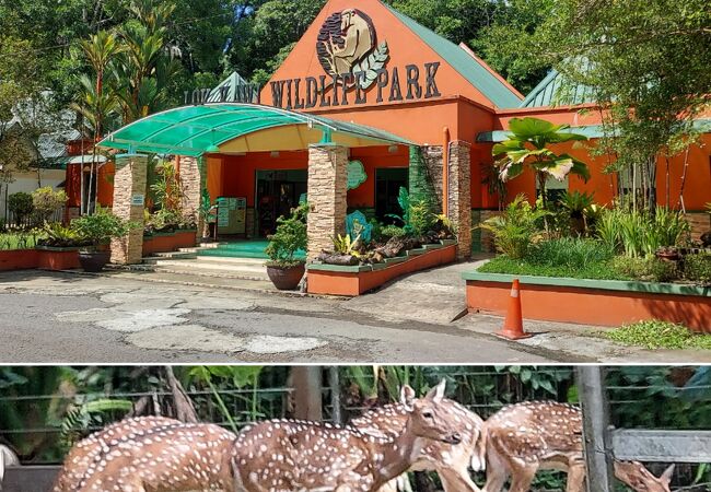 コタキナバルでまず行くべき動物園です