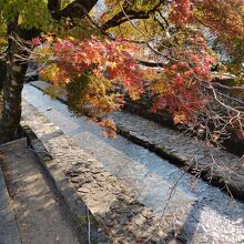 紺屋川筋