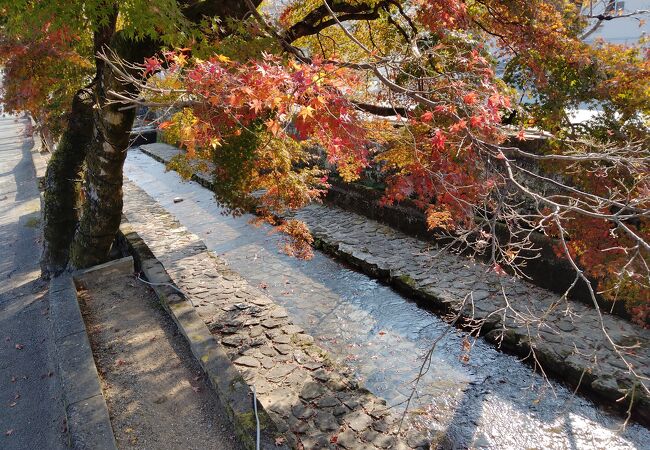 紺屋川筋