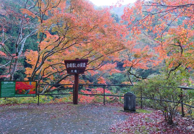 大血川渓谷の紅葉