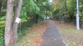 奥行きが深かった