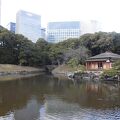海と高層ビルが近い日本庭園