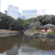 高層ビルと日本家屋