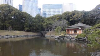 海と高層ビルが近い日本庭園