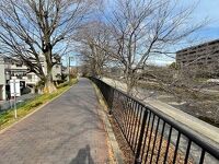 芥川桜堤公園