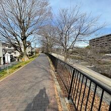 芥川桜堤公園