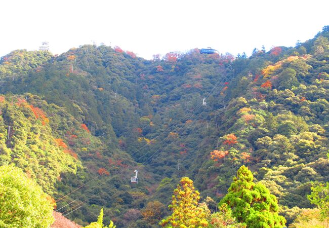 あっという間に山頂へ