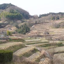 稲淵の棚田