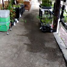 道の駅 たくみの里