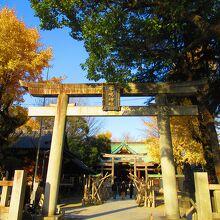 牛嶋神社