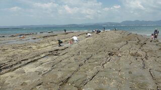 江津良海水浴場にある天然記念物の漣の波痕