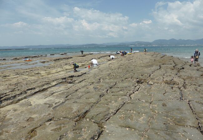 江津良海水浴場にある天然記念物の漣の波痕