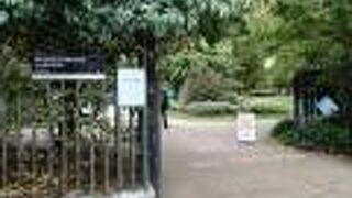 通り抜けられる