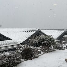 客室露天風呂の宿 奥伊根温泉 油屋別館 和亭