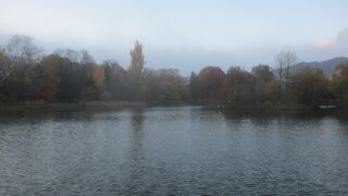 大きな池や日本庭園、イチョウ並木があります