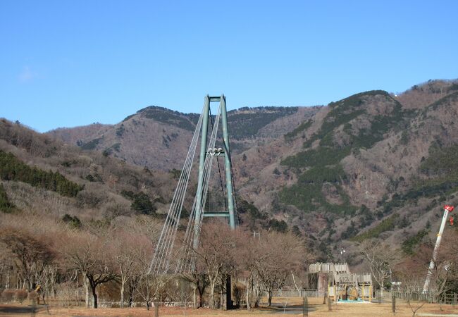 もみじ谷大吊橋