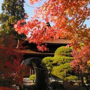 紅葉の時期の甲府は綺麗でした、甲府五山の東光寺