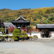 東光寺全景