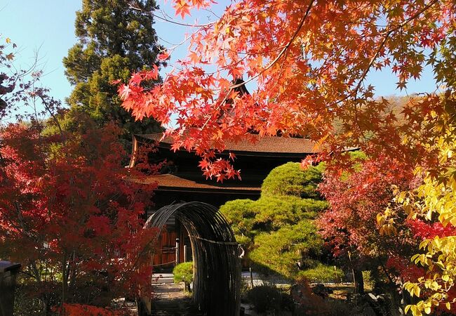 紅葉の時期の甲府は綺麗でした、甲府五山の東光寺