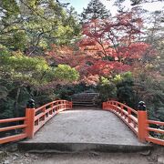 今年の紅葉はまだまだ