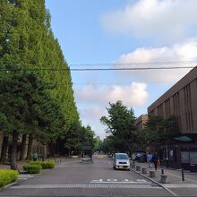 東北大学 片平キャンパス