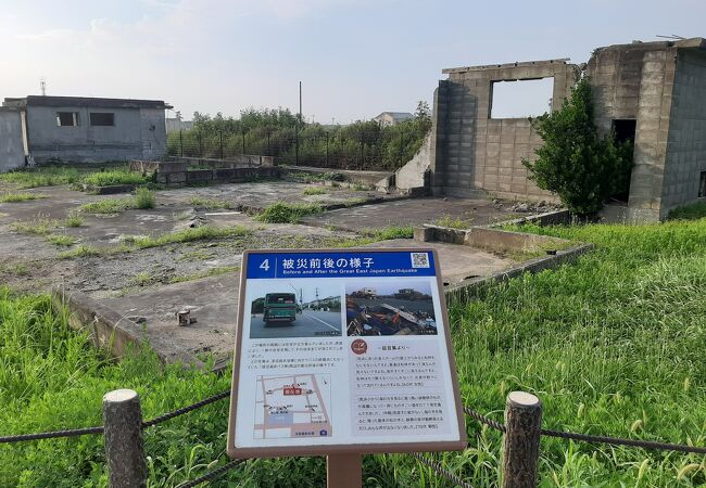 荒浜小学校の東側、海沿いの住宅があった場所の遺構