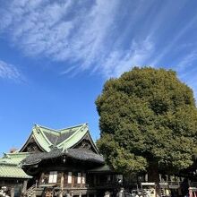 見て回りました。