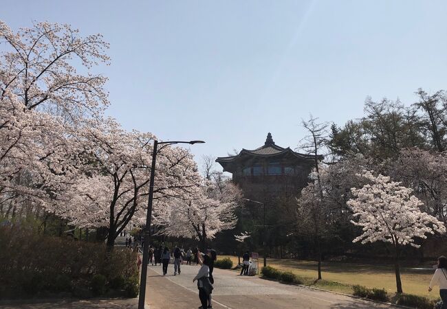 オリニ大公園