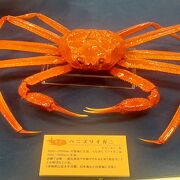 山陰海岸についての資料館です。カニの模型がたくさんありました