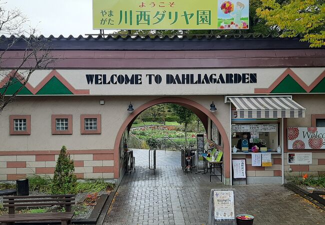 日本最大規模のダリヤ園。種類も豊富