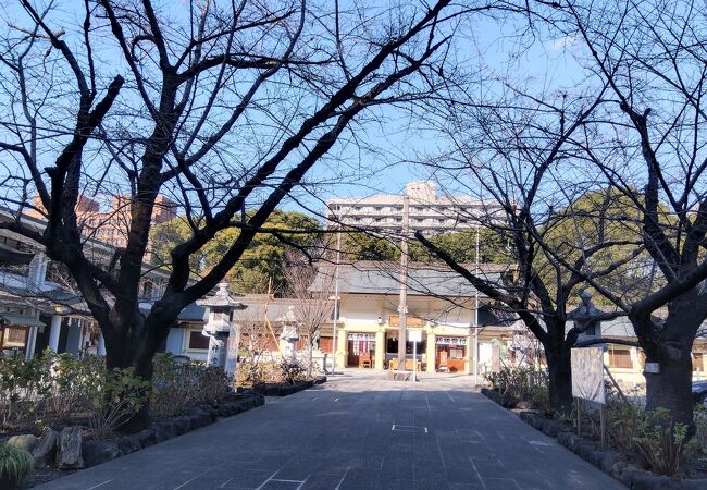 愛知県護国神社