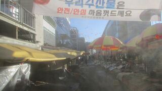 見るだけでも楽しい