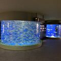 サメだけでなく、色々と楽しい水族館です。