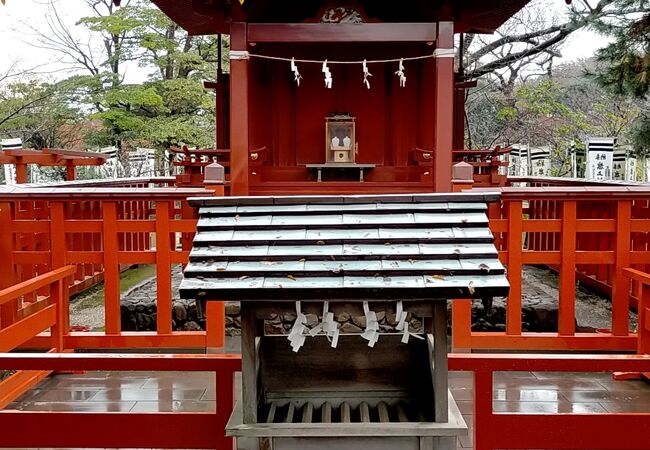 鶴岡八幡宮の中です。